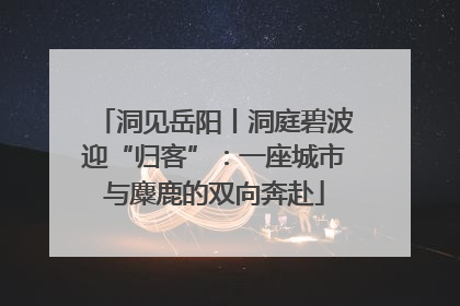洞见岳阳丨洞庭碧波迎“归客”：一座城市与麋鹿的双向奔赴