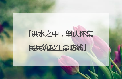 洪水之中，肇庆怀集民兵筑起生命防线