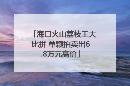 海口火山荔枝王大比拼 单颗拍卖出6.8万元高价