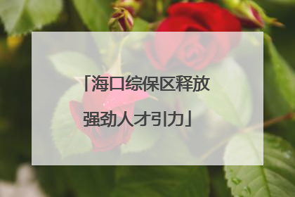 海口综保区释放强劲人才引力
