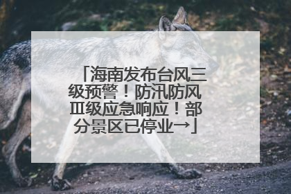 海南发布台风三级预警！防汛防风Ⅲ级应急响应！部分景区已停业→