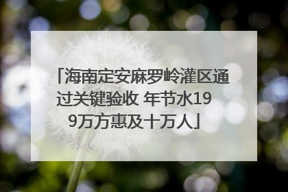 海南定安麻罗岭灌区通过关键验收 年节水199万方惠及十万人