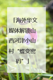 海外华文媒体解锁山西河津小山村“蝶变密码”