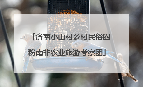 济南小山村乡村民俗圈粉南非农业旅游考察团