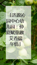 济源沁园中心幼儿园：仲夏赋童趣 艾香端午情