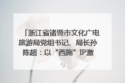 浙江省诸暨市文化广电旅游局党组书记、局长孙陈超：以“西施”IP激活全域旅游 打造县域文旅融合新标杆｜第七届全国县域旅游研究成果发布系列活动