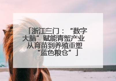 浙江三门：“数字大脑”赋能青蟹产业 从育苗到养殖重塑“蓝色粮仓”