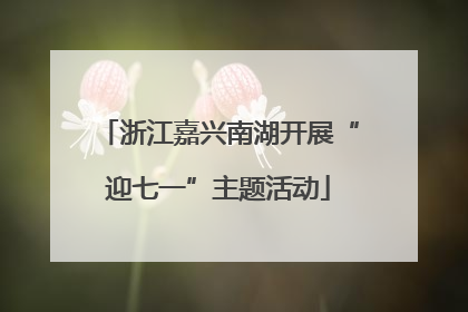 浙江嘉兴南湖开展“迎七一”主题活动