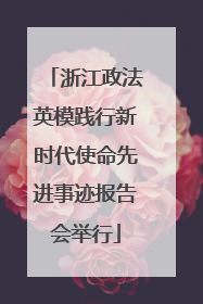 浙江政法英模践行新时代使命先进事迹报告会举行