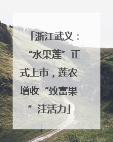 浙江武义：“水果莲”正式上市，莲农增收“致富果”注活力