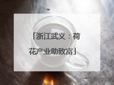 浙江武义：荷花产业助致富