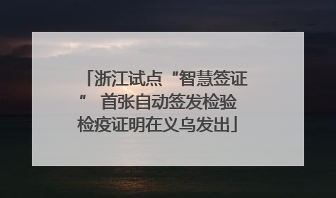 浙江试点“智慧签证” 首张自动签发检验检疫证明在义乌发出