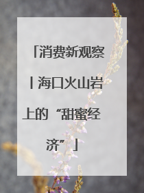 消费新观察丨海口火山岩上的“甜蜜经济”