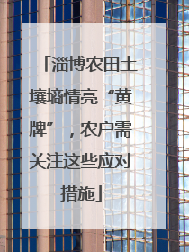 淄博农田土壤墒情亮“黄牌”，农户需关注这些应对措施