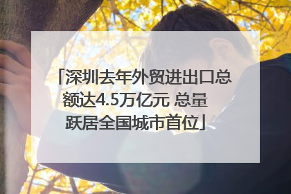 深圳去年外贸进出口总额达4.5万亿元 总量跃居全国城市首位