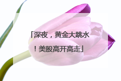 深夜，黄金大跳水！美股高开高走