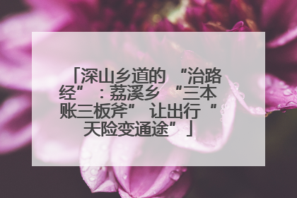 深山乡道的 “治路经”：荔溪乡 “三本账三板斧” 让出行“天险变通途”
