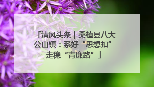 清风头条｜桑植县八大公山镇：系好“思想扣” 走稳“青廉路”