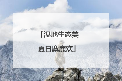 湿地生态美 夏日麋鹿欢