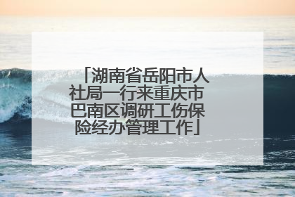 湖南省岳阳市人社局一行来重庆市巴南区调研工伤保险经办管理工作