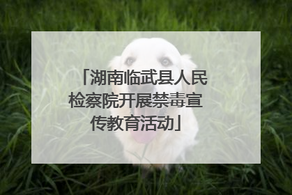 湖南临武县人民检察院开展禁毒宣传教育活动