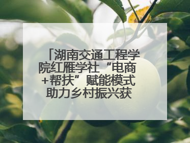 湖南交通工程学院红雁学社“电商+帮扶”赋能模式 助力乡村振兴获帮扶乡镇好评