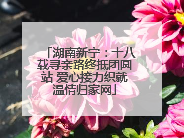 湖南新宁：十八载寻亲路终抵团圆站 爱心接力织就温情归家网