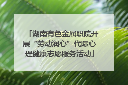 湖南有色金属职院开展“劳动润心”代际心理健康志愿服务活动