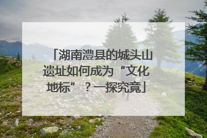 湖南澧县的城头山遗址如何成为“文化地标”？一探究竟