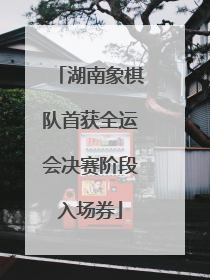 湖南象棋队首获全运会决赛阶段入场券