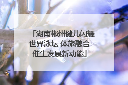 湖南郴州健儿闪耀世界泳坛 体旅融合催生发展新动能
