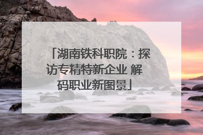 湖南铁科职院：探访专精特新企业 解码职业新图景