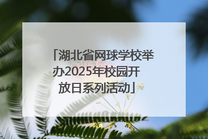 湖北省网球学校举办2025年校园开放日系列活动