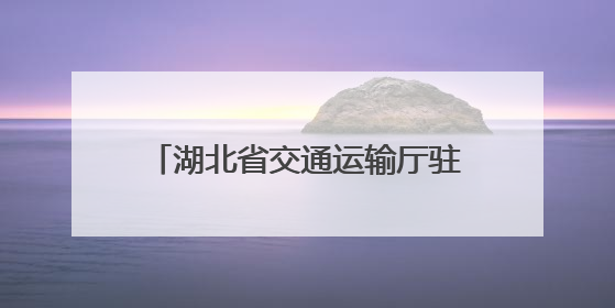 湖北省交通运输厅驻村工作队：“铁脚板”书写龙凤村幸福答卷