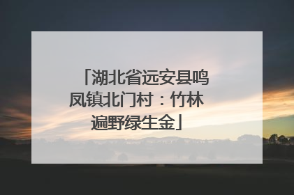 湖北省远安县鸣凤镇北门村：竹林遍野绿生金