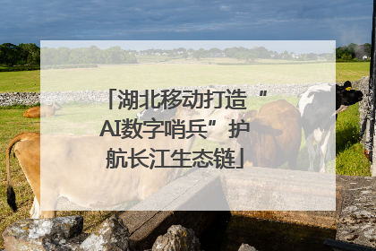 湖北移动打造“AI数字哨兵”护航长江生态链