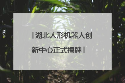 湖北人形机器人创新中心正式揭牌