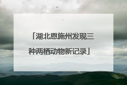 湖北恩施州发现三种两栖动物新记录