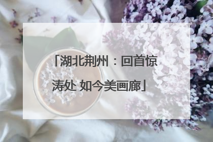 湖北荆州：回首惊涛处 如今美画廊