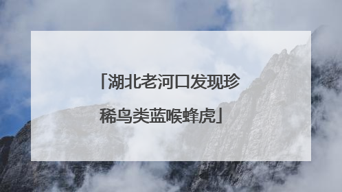 湖北老河口发现珍稀鸟类蓝喉蜂虎