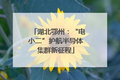 湖北鄂州：“电小二”护航半导体集群新征程