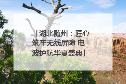 湖北随州：匠心筑牢无线屏障 电波护航华夏盛典