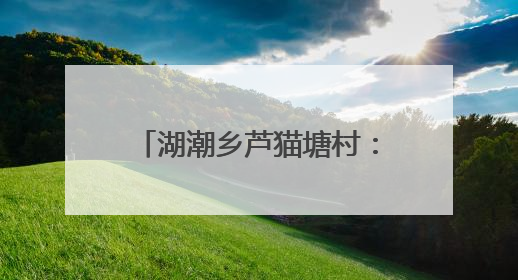 湖潮乡芦猫塘村：夜访乡村巷陌，驻村干部情暖民心