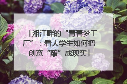 湘江畔的“青春梦工厂”：看大学生如何把创意“酿”成现实