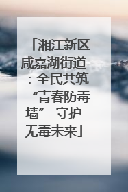 湘江新区咸嘉湖街道：全民共筑“青春防毒墙” 守护无毒未来