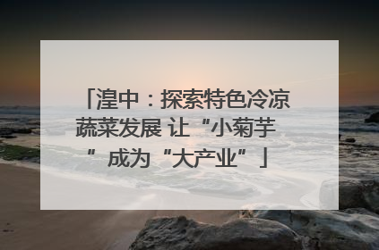 湟中：探索特色冷凉蔬菜发展 让“小菊芋”成为“大产业”