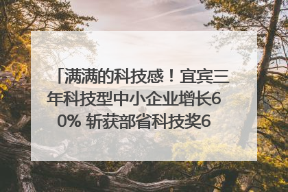 满满的科技感！宜宾三年科技型中小企业增长60% 斩获部省科技奖6项｜您牵挂的四川