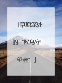 草原深处的“候鸟守望者”