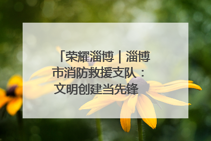荣耀淄博｜淄博市消防救援支队：文明创建当先锋 蓝焰映红建新功