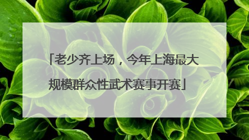 老少齐上场，今年上海最大规模群众性武术赛事开赛